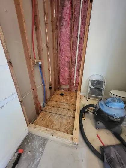 Bathroom improvements — photo P317