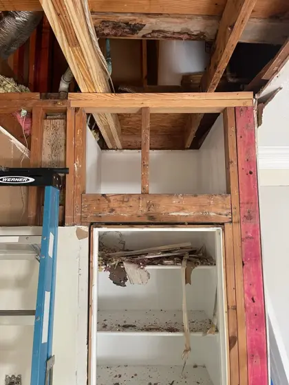 Bathroom improvements — photo P322