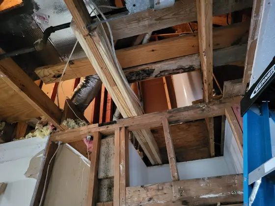 Bathroom improvements — photo P323
