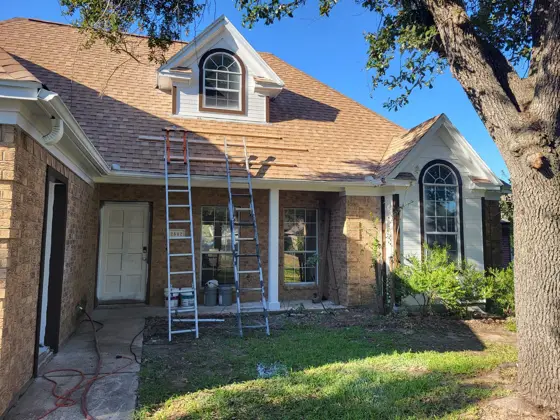 Exterior painting and finish work — photo P333