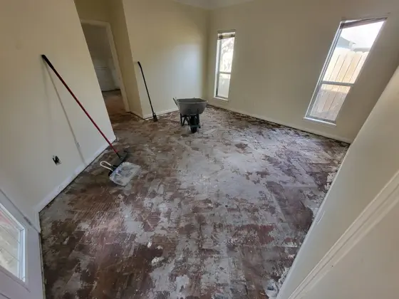 Interior renovations and finish work — photo P334