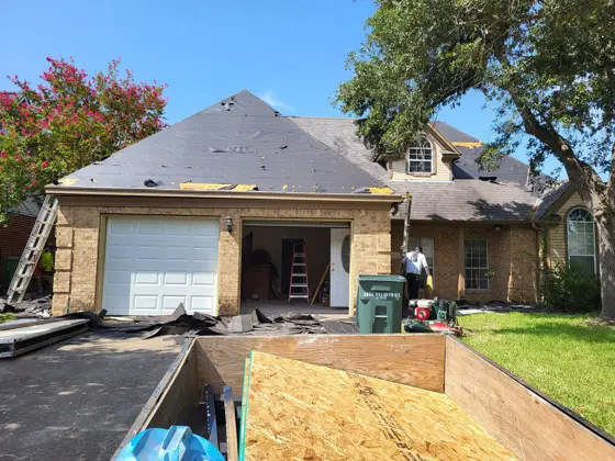 Exterior painting and finish work — photo P347