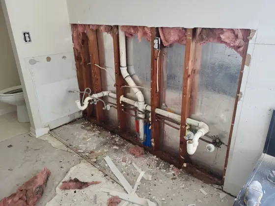 Bathroom improvements — photo P351