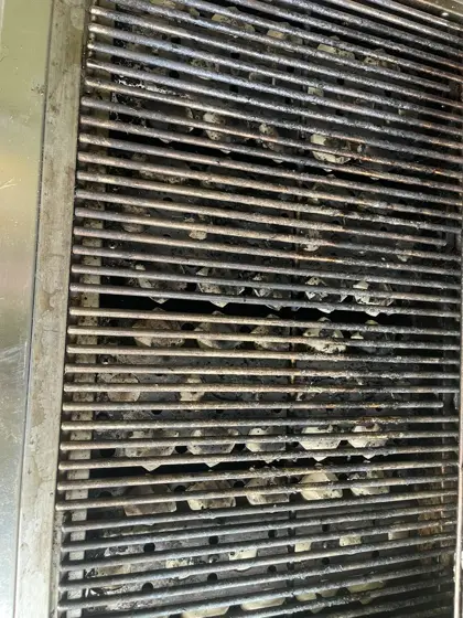 Grill cleaning and restoration — photo P415