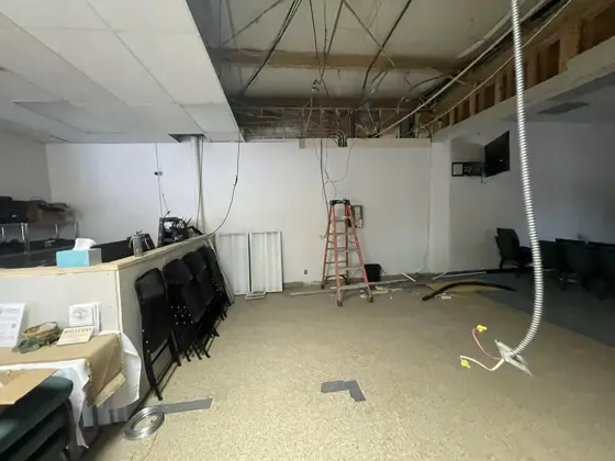 Ceiling and interior finish work — photo P460