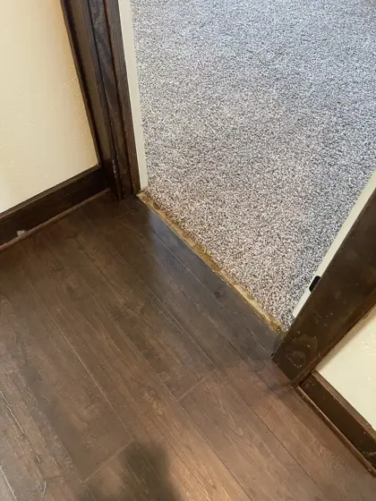 Flooring and trim details — photo P488