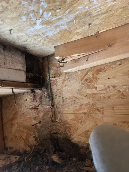 Repair work in progress — photo P496
